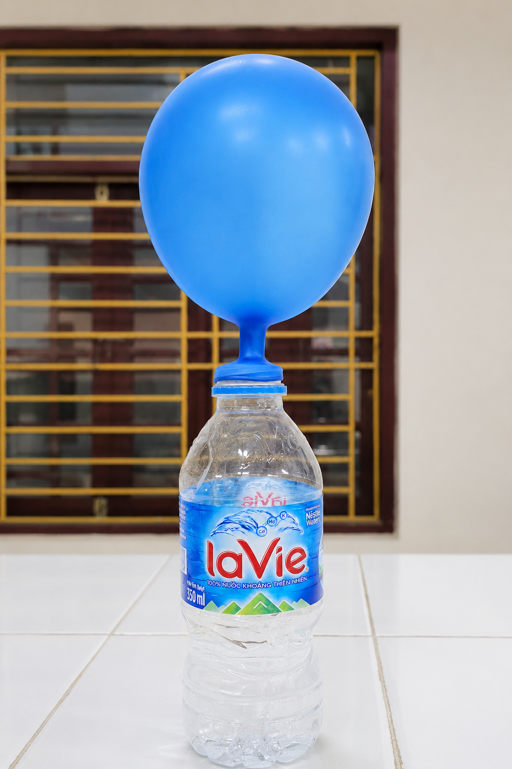 Thí nghiệm với khí